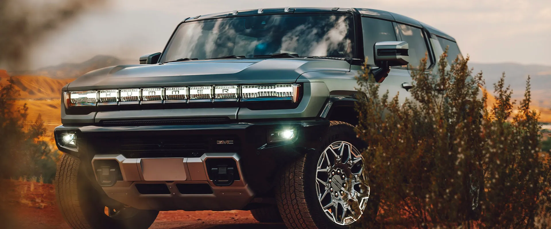 Hummer near San Antonio, TX