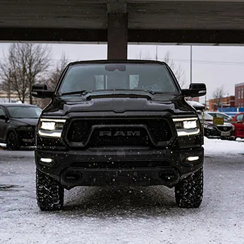 Ram in San Antonio, TX